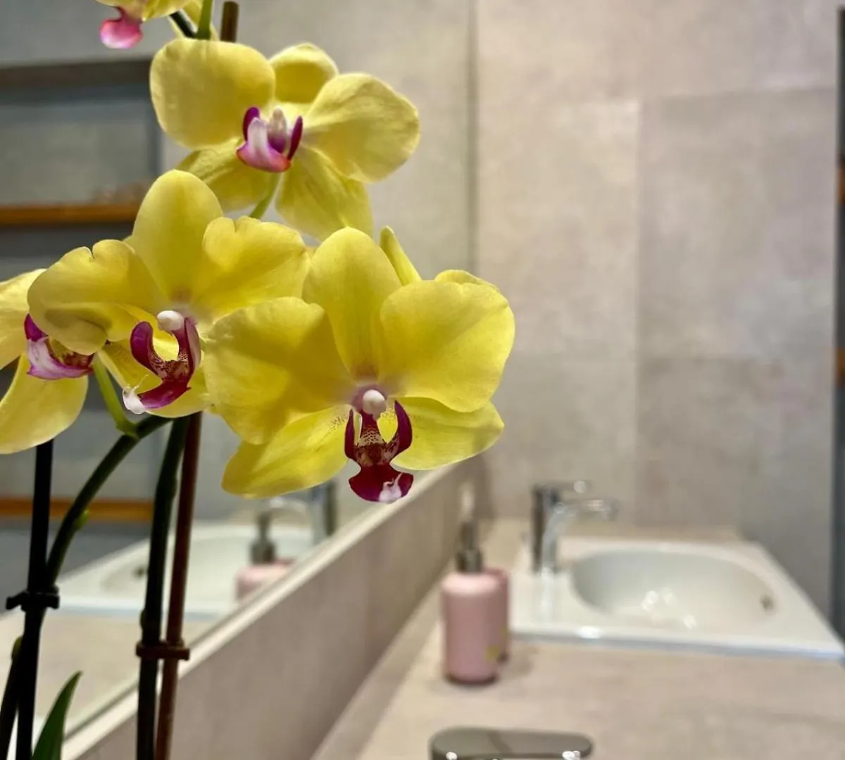 Bed & Breakfast B&B Aria Di Lago Paratico