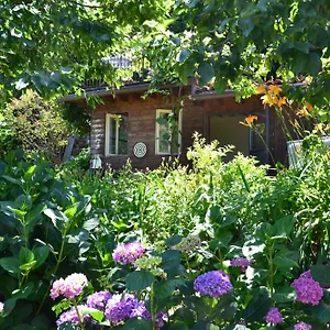  Bed & Breakfast Il Torchio